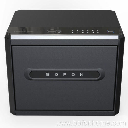 Large Security Box Fingerprint Password for Home